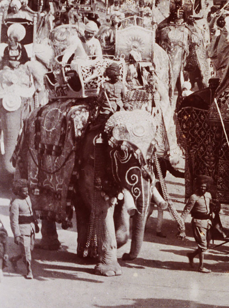 State Elephant of Cooch Behar